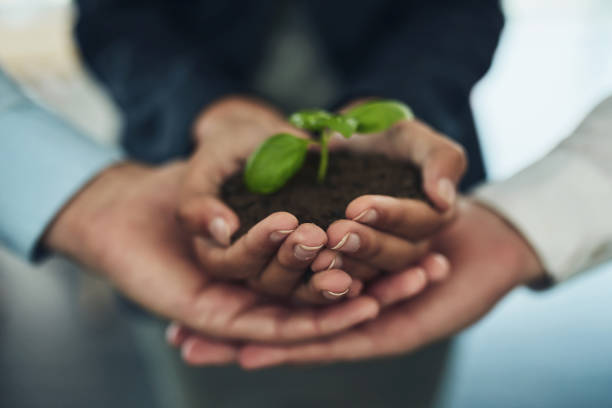 Cropped shot of a group of businesspeople holding a plant growing out of soil